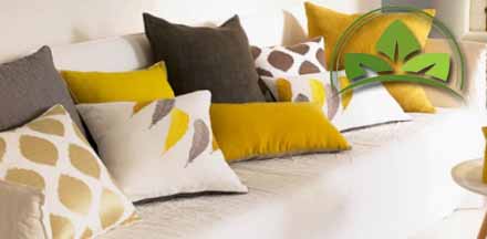 remove stains from mattresses, remove stains from sofas, remove stains from carpets, remove stains from upholstery 