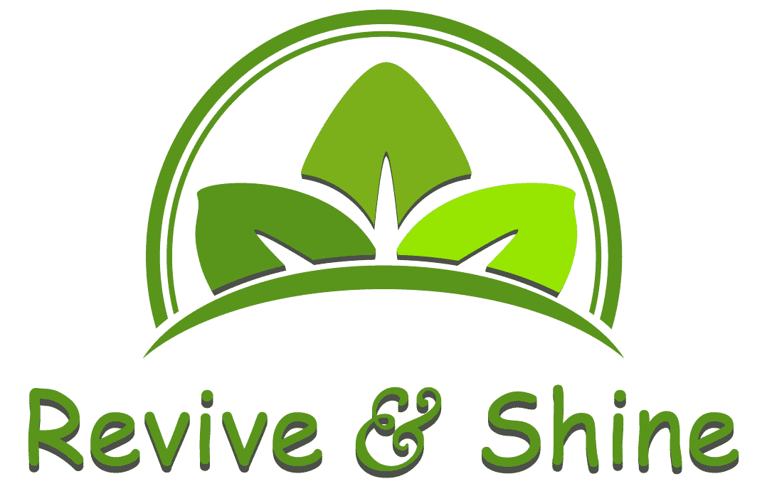 Revive & Shine – Empresa de limpeza profissional de sofás, colchões e alcatifas em Almancil, Algarve